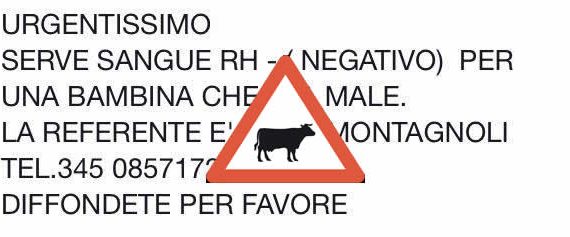 Attenzione alle bufale sulle ricerche di sangue