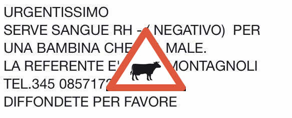 Attenzione alle bufale sulle ricerche di sangue