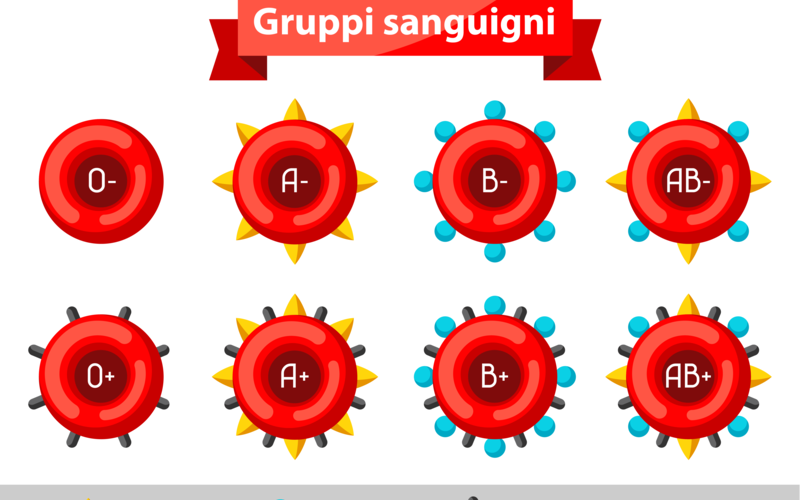 Perché i gruppi sanguigni sono diversi?